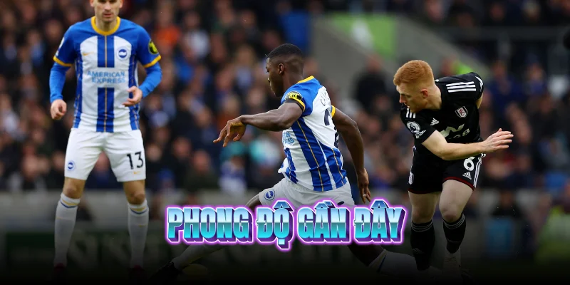 phong-do-gan-day-cua-brighton-vs-fulham